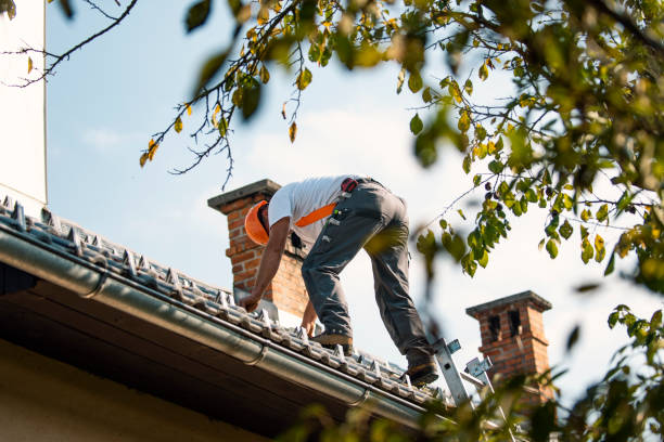 Roof Insulation in Johnstonville, CA