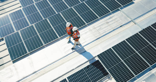 Best Roof Moss and Algae Removal  in Johnstonville, CA
